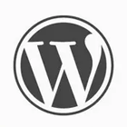 WordPress v6.0.2 中文正式版发布及优化代码