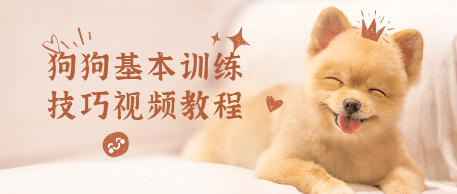 狗狗基本训练技巧视频教程