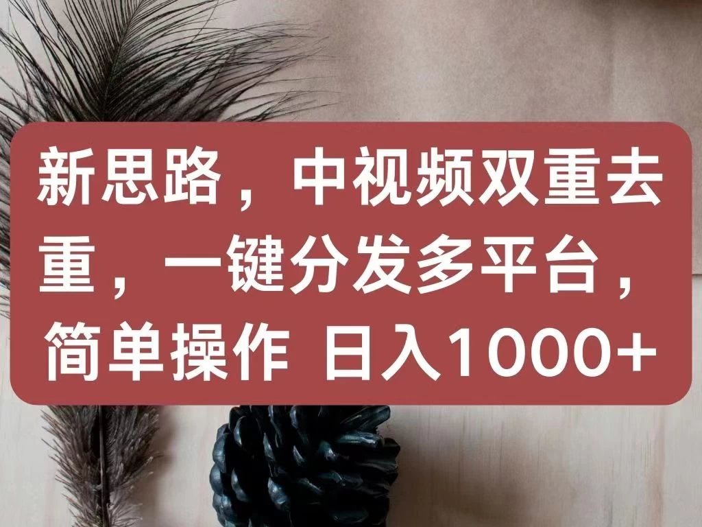 新思路,中视频双重去重,一键分发多平台,简单操作,日入1000+!快来试试吧!