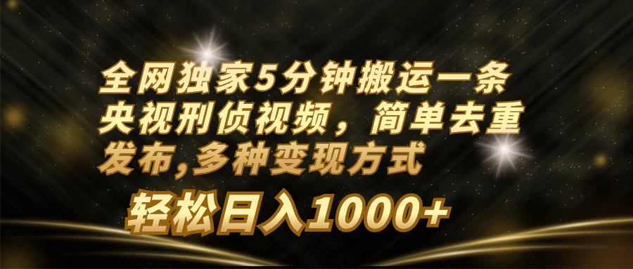 全网独家5分钟搬运一条央视刑侦视频,简单去重发布,多种变现方式,轻松日入1000+