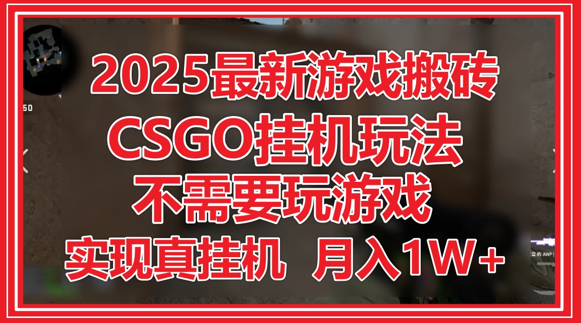 2025最新游戏搬砖，CSGO挂机，不需要玩游戏，实现真挂机，月入1W+-风口项目网_项目资源_网络赚钱副业分享_创业项目_兼职副业_中创网_抖音教程