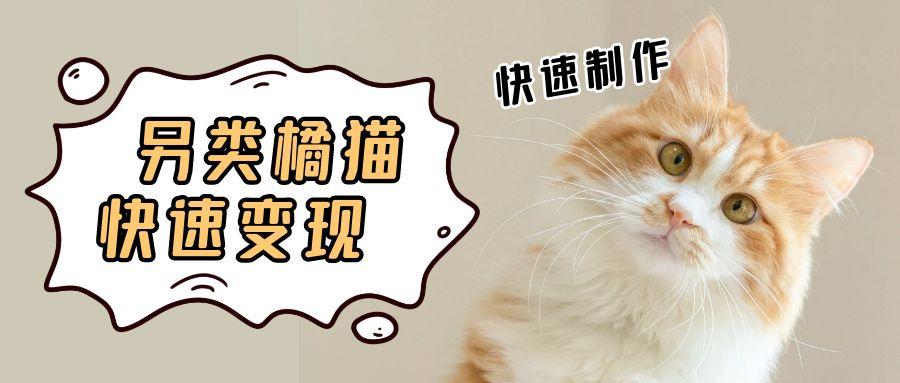 5个作品涨粉30万！AI+江湖橘猫视频制作，小白轻轻松松上手，条条爆款，条条变现，单日就能收益-风口项目网_项目资源_网络赚钱副业分享_创业项目_兼职副业_中创网_抖音教程