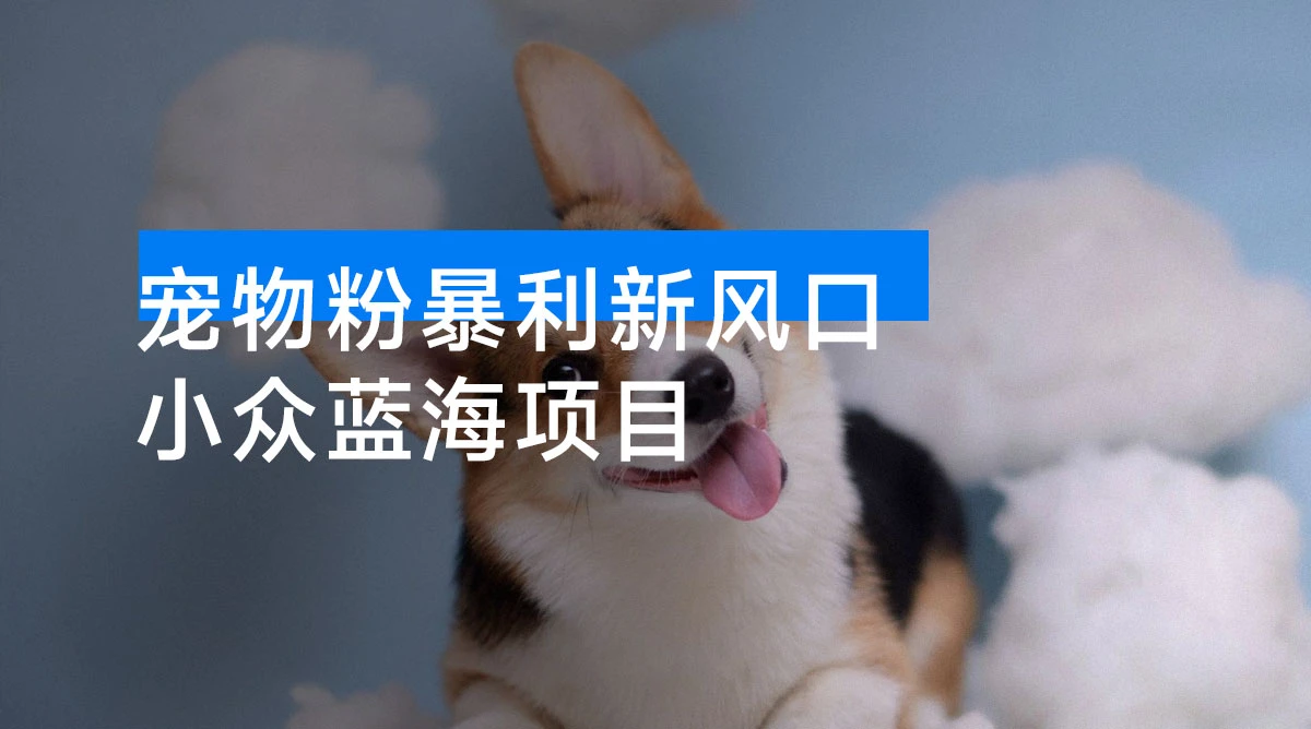 宠物粉暴利新风口 0 基础小白也能靠这套玩法月入过万