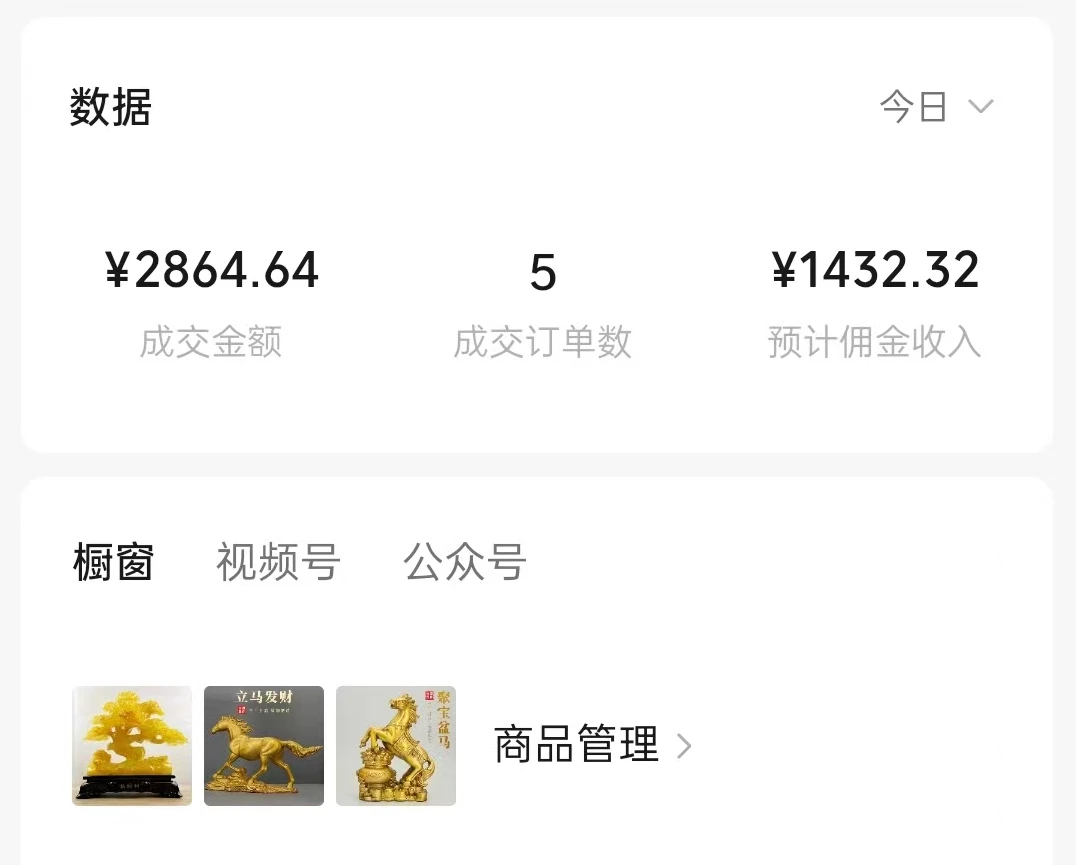 全网首发:视频号懒人带货玩法,不废号,人人能做 实操日入上千