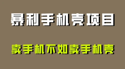 卖手机不如卖手机壳，暴利手机壳项目玩法拆解！