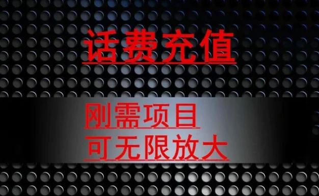 最新蓝海项目，刚需赛道，95 折充话费月入 5 位数