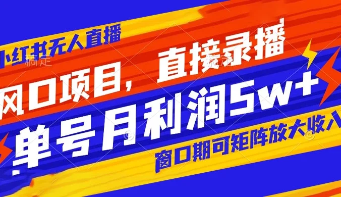 风口项目，小红书无人直播带货，直接录播，可矩阵，月入 5w+