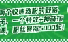 两个快速涨粉的野路子，一个特效+神奇布偶，粉丝暴涨 5000 起