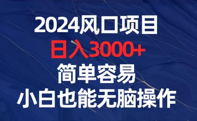 2024 风口项目,日入 3000+,简单容易,小白也能无脑操作