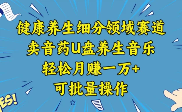 健康养生细分领域赛道,卖音药U盘养生音乐,轻松月赚一万+,可批量操作