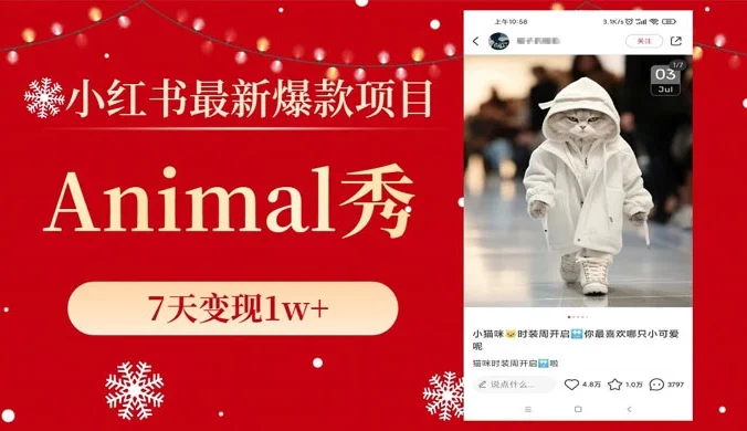 小红书最新爆款项目，Animal 秀，7天变现 1w+