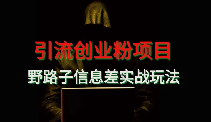 野路子信息差玩法实战教学，引流创业粉
