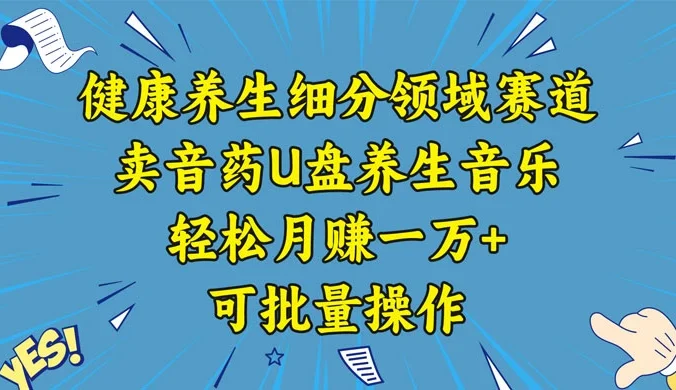 健康养生细分领域赛道，卖音药U盘养生音乐，轻松月赚一万+，可批量操作