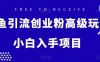 闲鱼引流创业粉高级玩法，单日引流200+，稳定收益2000+，小白入手项目