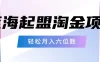 月入六位数的蓝海项目，起盟淘金有手就能做，轻松月入六位数
