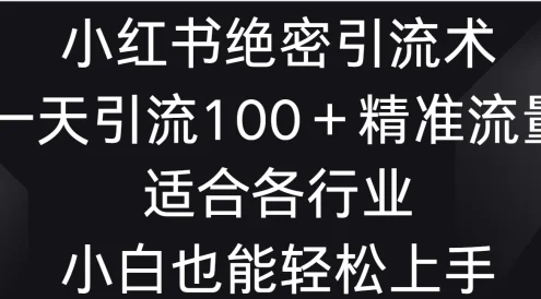 小红书绝密引流术,一天引流100+精准流量,适合各个行业,小白也能轻松上手