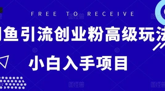 闲鱼引流创业粉高级玩法，单日引流200+，稳定收益2000+，小白入手项目