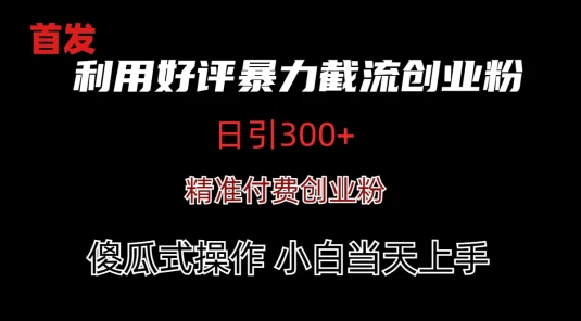 利用好评暴力截流付费创业粉，无需工具，简单且暴力的一个玩法
