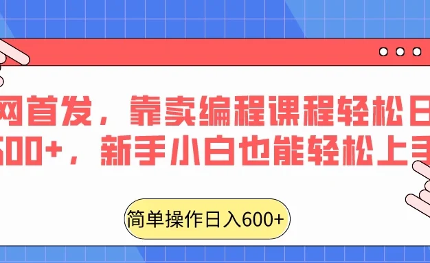 全网首发,靠卖编程课程轻松日入600+,新手小白也能轻松上手