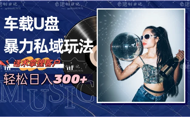车载U盘暴力私域玩法,轻松日入300+
