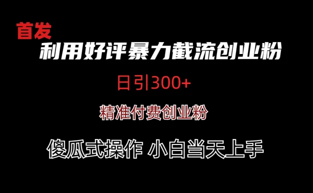 利用好评暴力截流付费创业粉,无需工具,简单且暴力的一个玩法