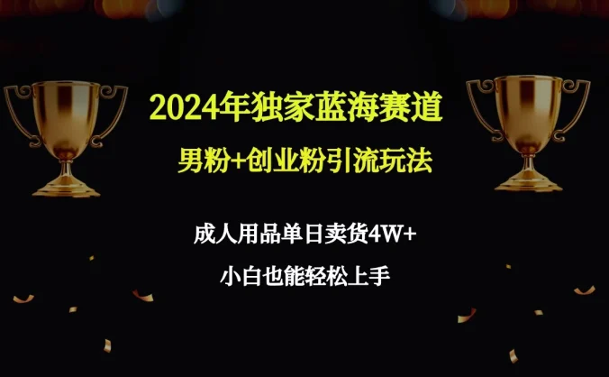 2024独家蓝海赛道，男粉＋创业粉引流玩法。