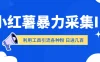 小红薯暴力采集ID 利用工具引流各种粉 日进几百人