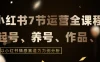 最新的7节小红书运营实战全教程，结合最新情感赛道，打通小红书运营全流程