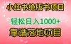 小红书绝版书项目，轻松日入1000+，靠谱落地项目