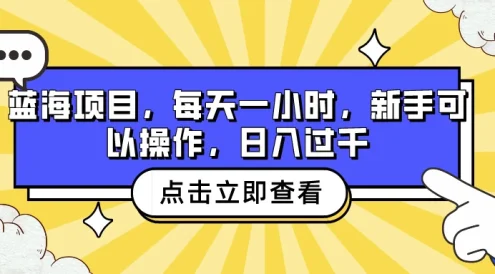 蓝海项目,每天一小时,新手可以操作,日入过千