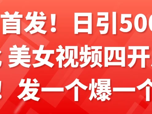 全网首发!日引500+老色批 美女视频四开屏玩法!发一个爆一个!