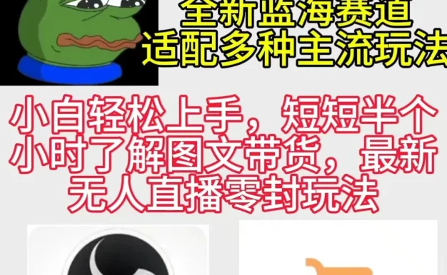 反方向的蛙3.0 图文最新玩法 隐身各种主流项目 新手小白轻松上手 日入2000+