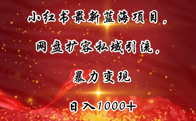 小红书最新蓝海项目,网盘扩容私域引流,暴力变现,日入1000+(附100T占位文件)