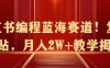 小红书编程蓝海赛道！复制粘贴，月入2W+教学揭秘