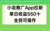 小说推广APP拉新，单日收益550，全民可操作