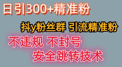 最新技术,利用抖Y粉丝群引流精准粉丝,日以300+精准粉