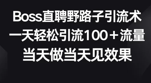 Boss直聘野路子引流术,一天轻松引流100+流量,当天做当天见效果
