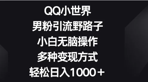 QQ小世界男粉引流野路子,小白无脑操作,多种变现方式轻松日入1000+