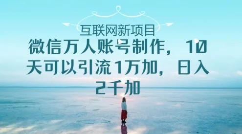 微信万人账号,10天可以引流1W+ 日入2千+