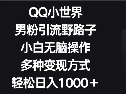 QQ小世界男粉引流野路子,小白无脑操作,多种变现方式轻松日入1000+