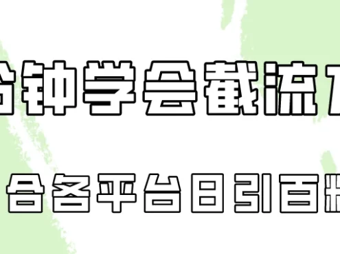 十分钟学会各大平台截流,矩阵日引几百创业粉(像素级教程)