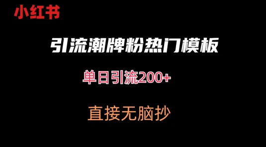 最新小红书无脑套模板单日引流200+潮牌粉