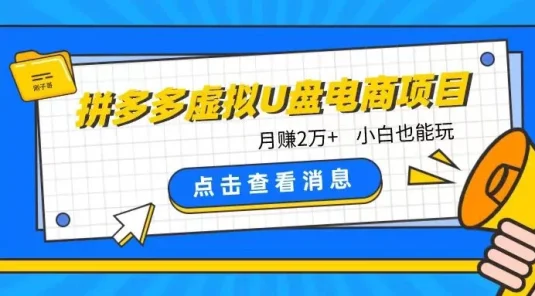 拼多多虚拟U盘电商红利项目：月赚2万+，新手小白也能玩