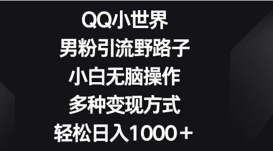 QQ小世界男粉引流野路子，小白无脑操作，多种变现方式轻松日入1000＋