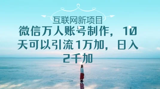 微信万人账号，10天可以引流1W+ 日入2千+