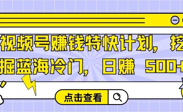 视频号赚钱特快计划,挖掘蓝海冷门,日赚 500+