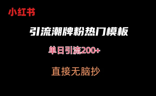 最新小红书无脑套模板单日引流200+潮牌粉