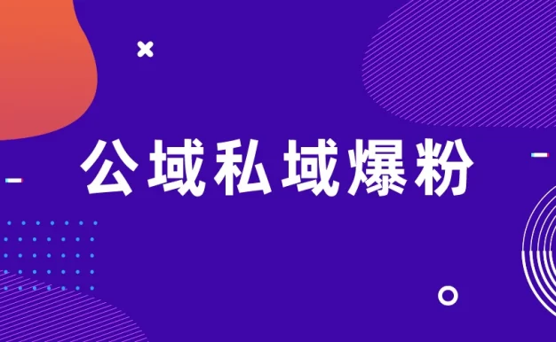 项目拆解视频制作教程从零到一,公域私域爆粉