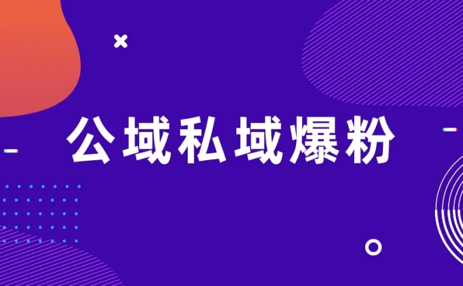 项目拆解视频制作教程从零到一,公域私域爆粉