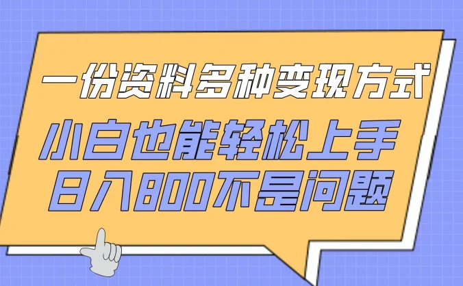 一份资料多种变现方式，小白也能轻松上手，日入800不是问题